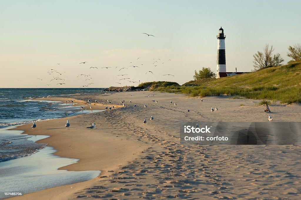 Big Sable Point Lighthouse with Gulls The black-and-white striped Big Sable Point Lighthouse (1867) and lots of gulls at the beach in early summer;  the lighthouse in the Ludington state park is one of Michigan's most beautiful; water, sand and sky in soft evening colors  Beach Stock Photo