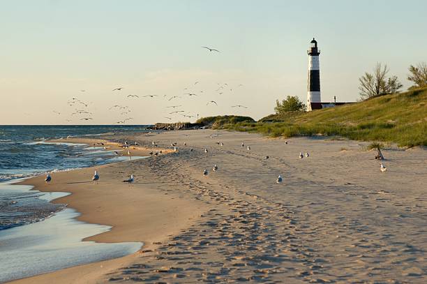 Big Sable Point Lighthouse with Gulls stock photo