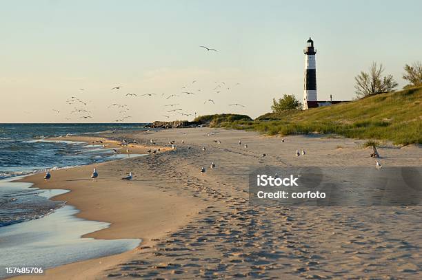 Big Sable Point Lighthouse With Gulls Stock Photo - Download Image Now - Beach, Lake Michigan, Ludington - Michigan