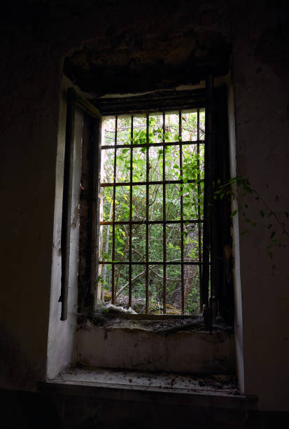 istock Abandoned Building Window with Grille and Overgrown Vegetation 1574873432