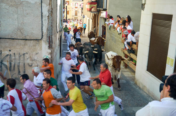 A thrilling photo capturing the excitement as people run ahead of the bulls in Brihuega's traditional encierro
