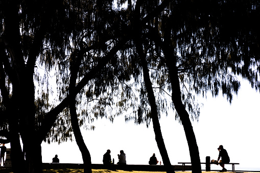 Silhouette of people sitting in city park and enjoying the day, background with copy space, full frame horizontal composition