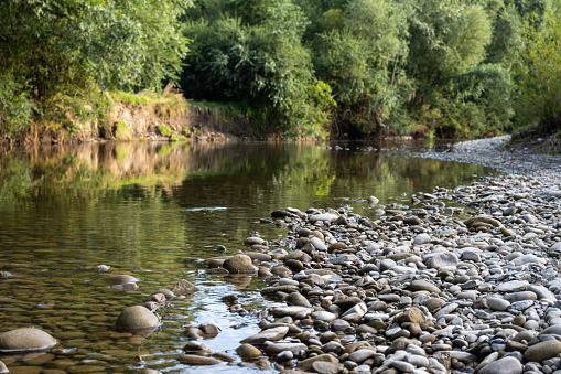 The river bed with crystal clear water, the shore is covered with stones, trees in the background