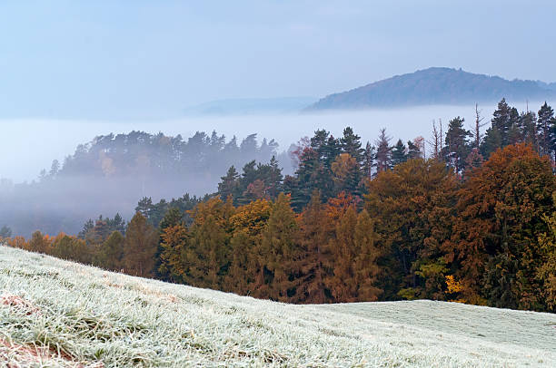 istock Autumn Morning Hoarfrost 157495114