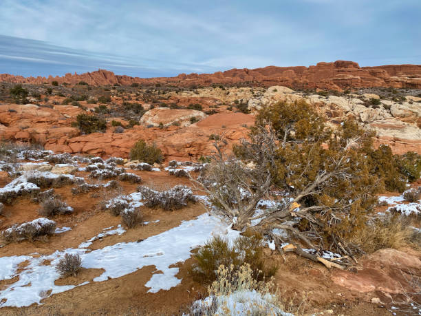 istock Arches Natiomal Park, Utah, USA 1574953804