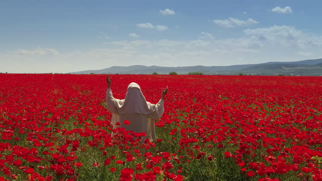 A nun in white praying in the poppy field