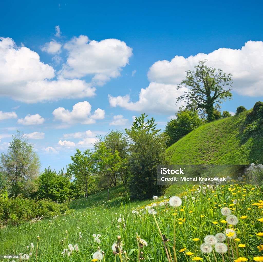 Топ Hilly meadow - Стоковые фото Без людей роялти-фри