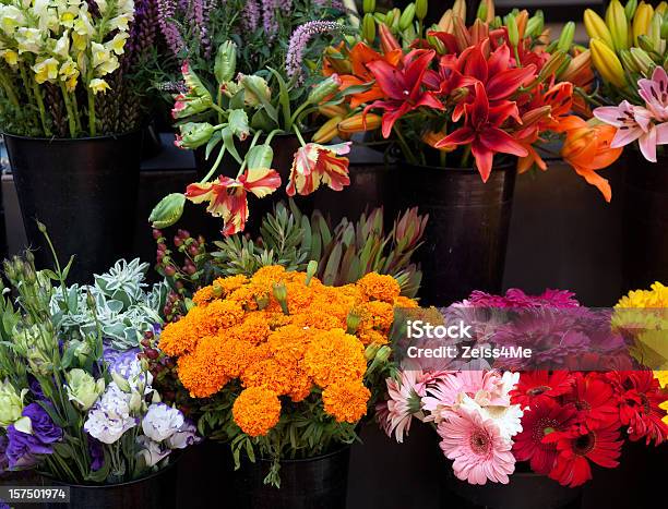 Foto de Flores Coloridas Em Um Flowershop e mais fotos de stock de Amarelo - Amarelo, Colorido, Cor Saturada