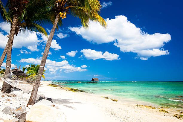 istock Paradise in Africa 157502213