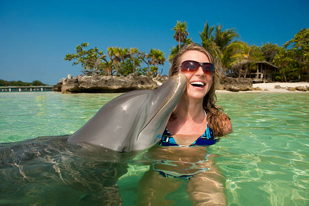 vacanza lifestyle-dolphin baciare donna di guancia - happy dolphin foto e immagini stock