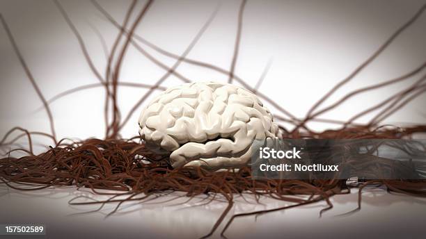 Cérebro Com Crescente Veias E Artérias - Fotografias de stock e mais imagens de Abstrato - Abstrato, Anatomia, Artificial