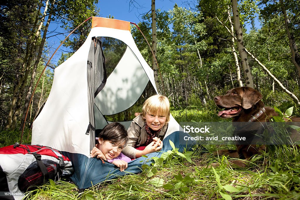 Campeggio con i loro bambini carino cane - Foto stock royalty-free di Ambientazione esterna