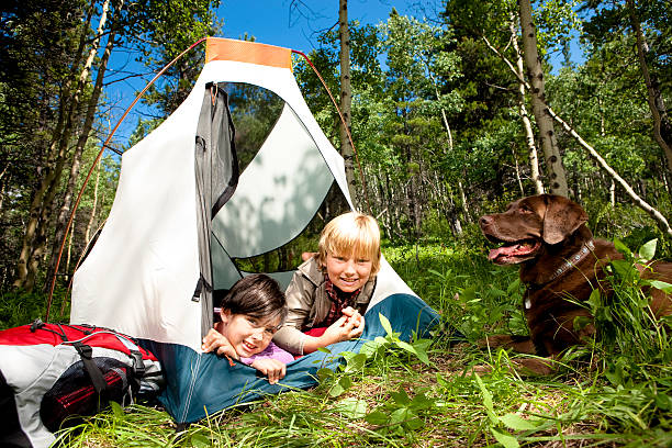 istock Cute Children Camping with Their Dog 157502605