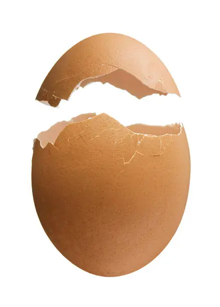Photo of Cracked Eggshell