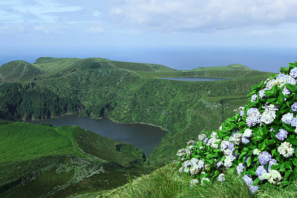 islet with vegetation near Flores Azores