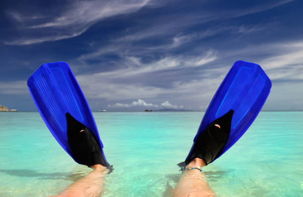 istock Fins infront of a tropical Paradise Beach (XXXL) 157503155