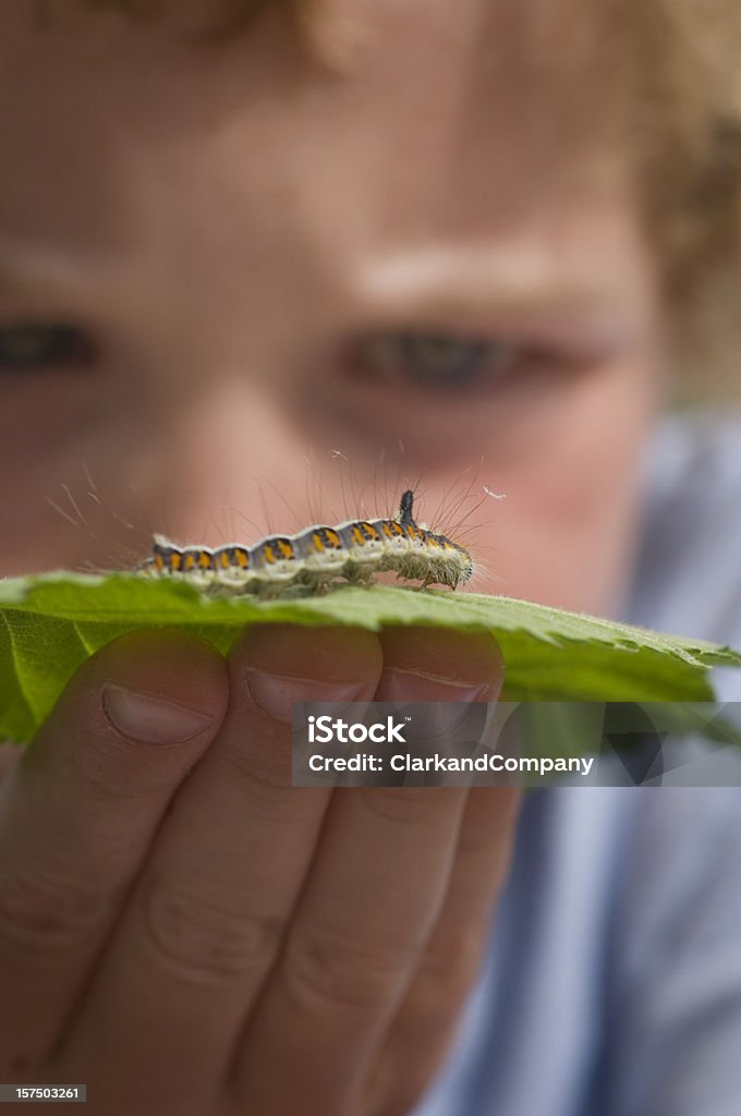 Giovane ragazzo tenendo una Caterpillar nella sua mano. - Foto stock royalty-free di Bruco