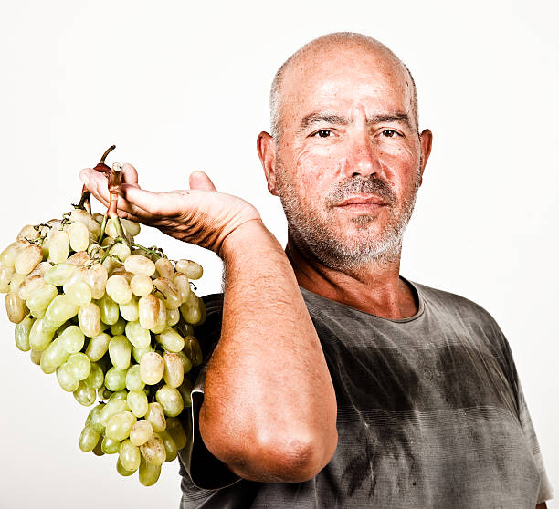 istock Man holding a bunch of grapes 157503326