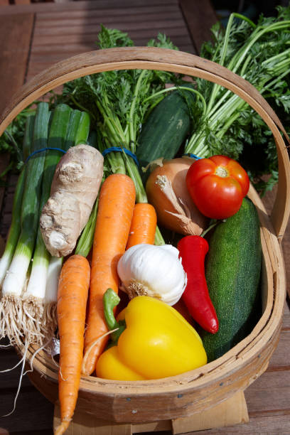 istock Basket of fresh vegetables 157503351