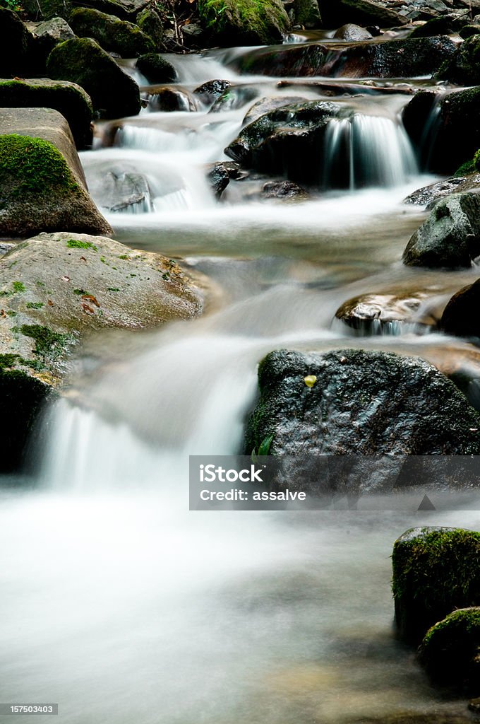 Fließende Fluss - Lizenzfrei Bach Stock-Foto