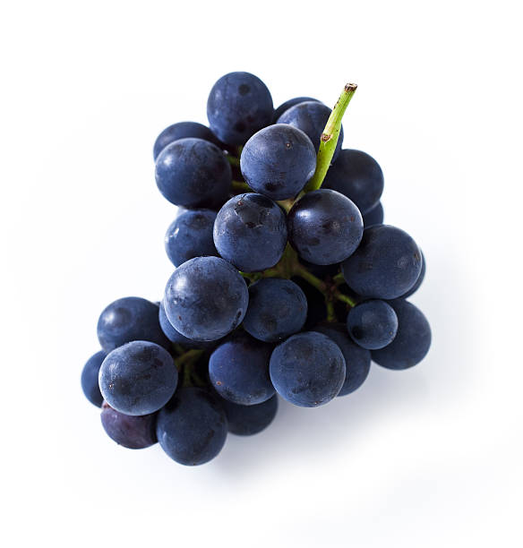 Purple grapes isolated on white background