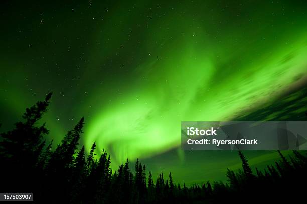 Северное Сияние Или Northern Lights Возле Yellowknife — стоковые фотографии и другие картинки Йеллоунайф
