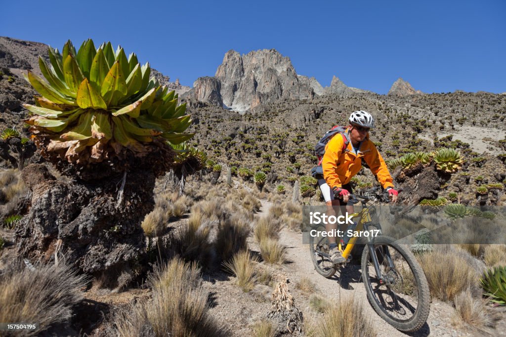 Monte Kenia discesa - Foto stock royalty-free di Monte Kenia