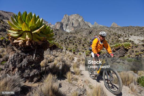 Monte Kenia Discesa - Fotografie stock e altre immagini di Monte Kenia - Monte Kenia, Africa, Africa orientale