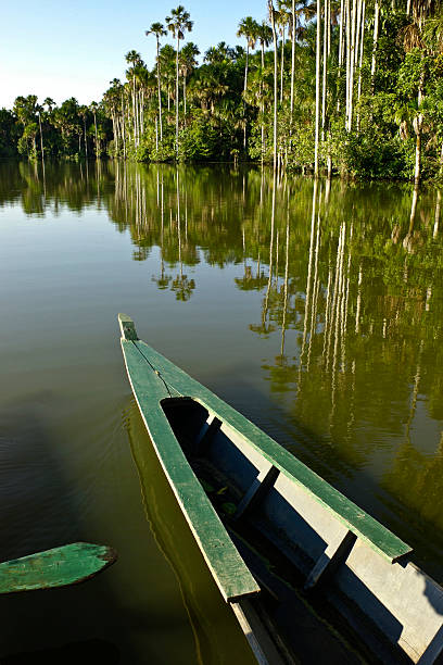 Thr front of a small boat navigating the Tambopata river during sunrise with reflection of the sun in the water in the Amazon rainforest in Peru.