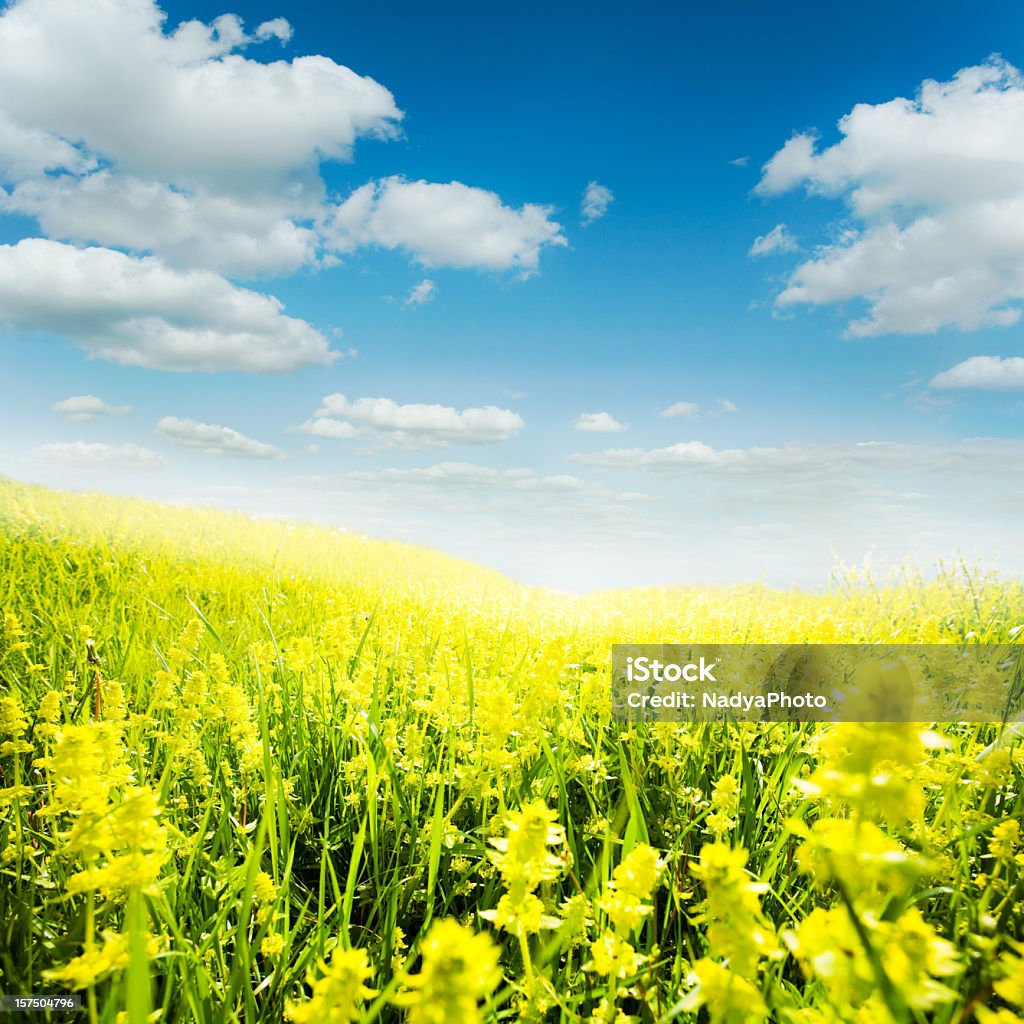 Sonnigen Tag - Lizenzfrei Bildhintergrund Stock-Foto