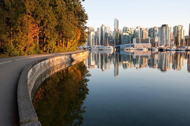 vancouver  stanley park - 溫哥華 加拿大 個照片及圖片檔