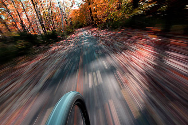 Front wheel of a mountain bike speeding on cyclepath, (blur in motion)