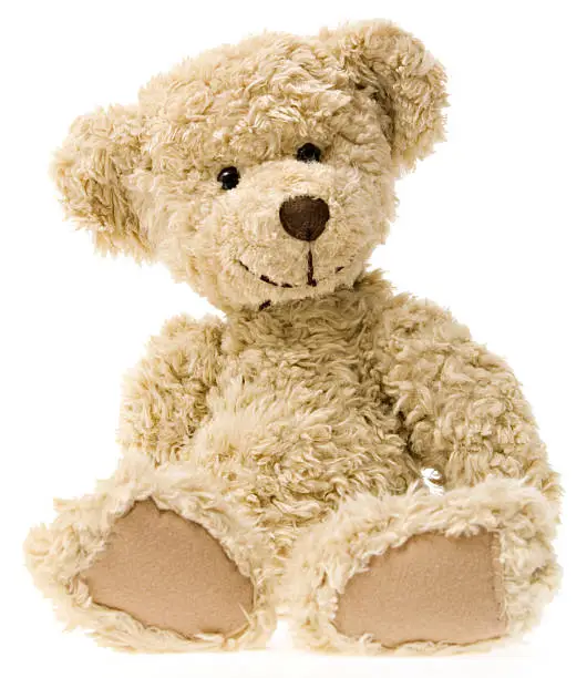 Photo of Teddy Bear