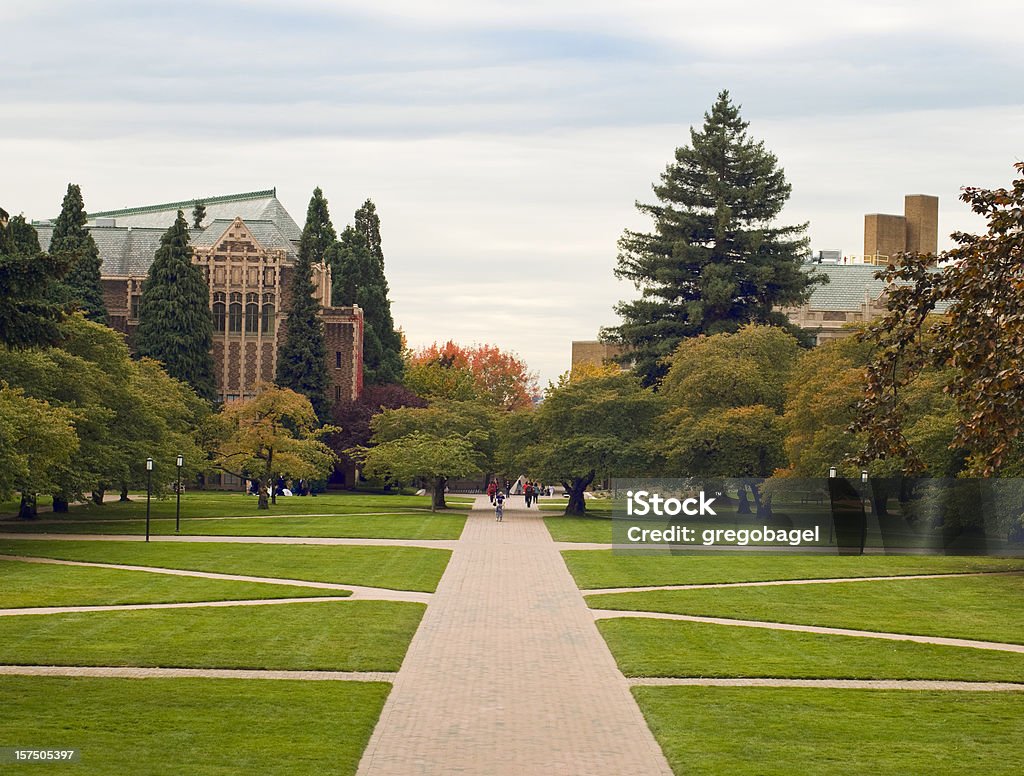 Quandrangle lawn at the University of Washington  Campus Stock Photo