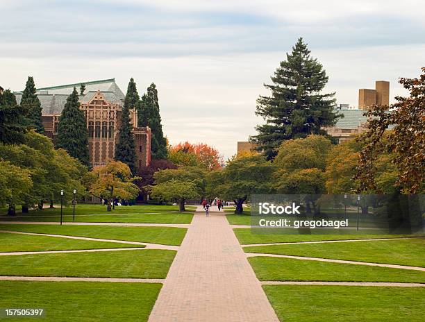 Quandrangle Lawn At The University Of Washington Stock Photo - Download Image Now - Campus, University, Outdoors