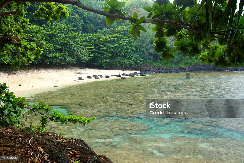 Plage hawaïenne isolée - Photo de Station de vacances libre de droits