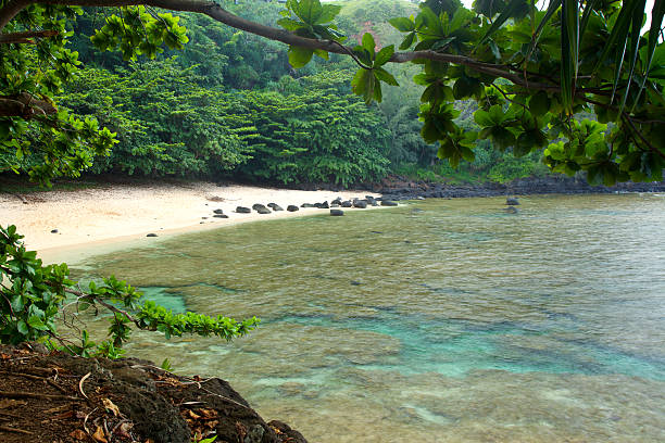 ustronne plaża hawajska - kauai tropical climate green travel destinations zdjęcia i obrazy z banku zdjęć