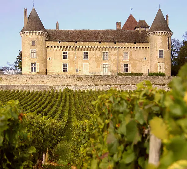 Photo of Wine and Castle