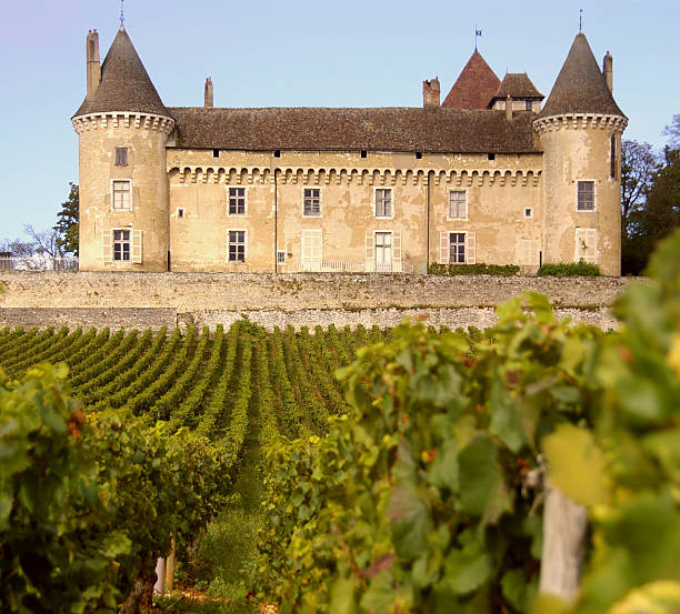 wino i zamek - burgundia zdjęcia i obrazy z banku zdjęć