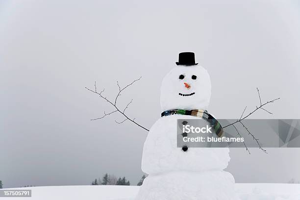 Boneco De Neve - Fotografias de stock e mais imagens de Boneco de neve - Boneco de neve, Ninguém, A nevar