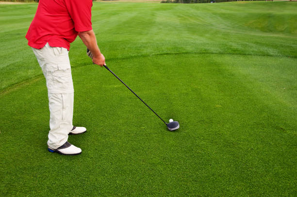 istock Golfer prepares to tee off ball 157505804