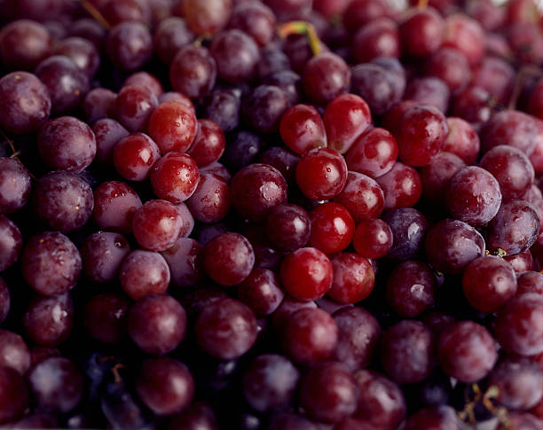레드 포도 - red grape 뉴스 사진 이미지