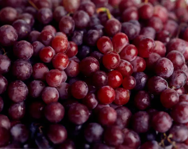 Photo of Red Grapes