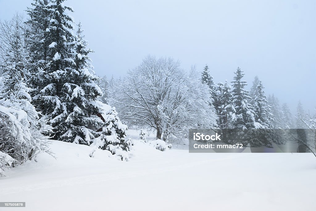 Paisaje de invierno cubierto de nieve - Foto de stock de Aire libre libre de derechos