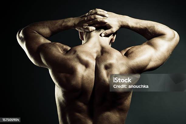 ボディビルダーた背中の筋肉を示す - 1人のストックフォトや画像を多数ご用意 - 1人, 20-24歳, 20代