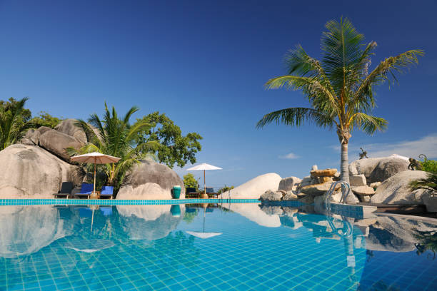 piscine de luxe au paradis tropical (xxxl - travel destinations polarizer outdoors luxury photos et images de collection
