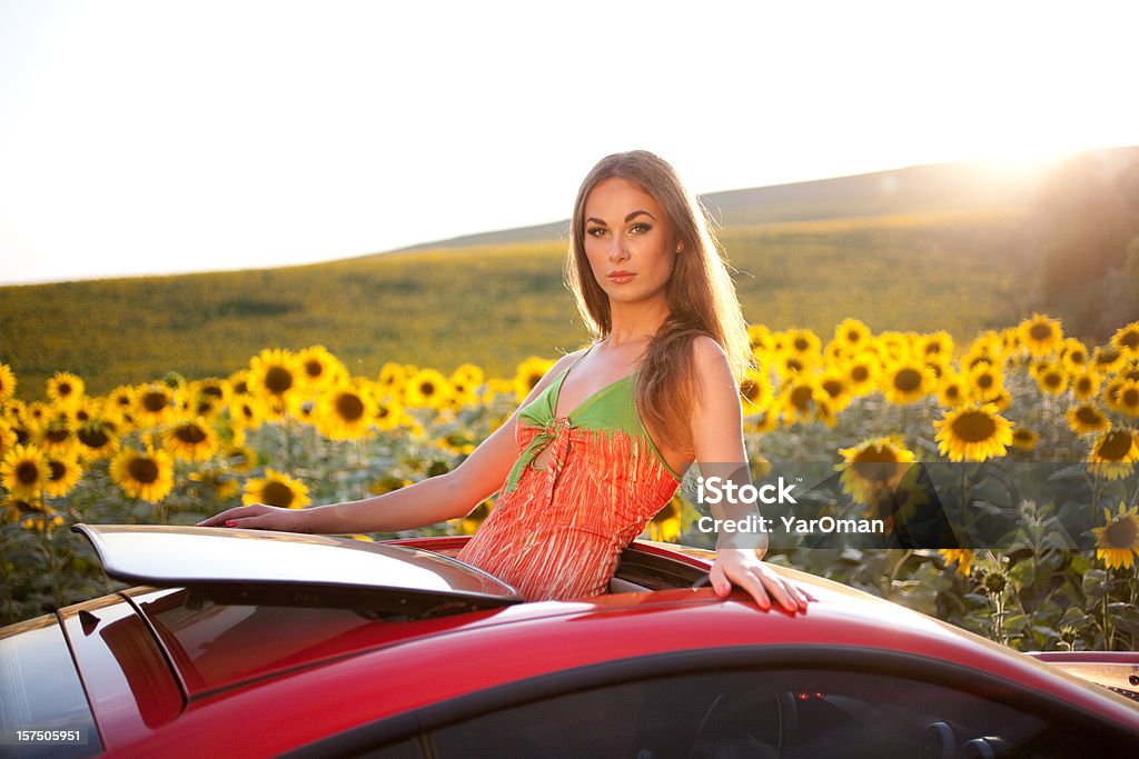 Красивая молодая девушка в поле «Подсолнухи» - Стоковые фото Автомобиль роялти-фри