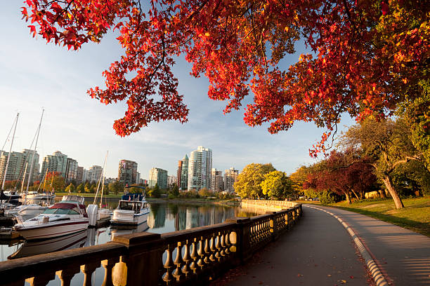 Vancouver  Stanley park  vancouver canada stock pictures, royalty-free photos & images