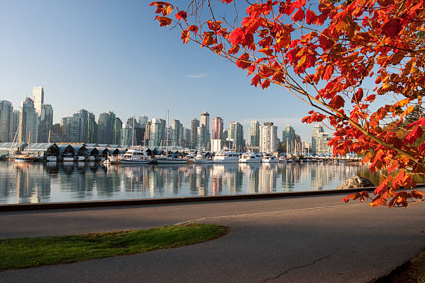 Vancouver Stanley Park stock photo