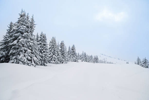 istock Snow Covered Winter Landscape 157506293